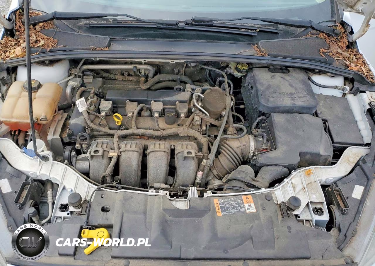2016 Ford Focus Se VIN:1FADP3K23GL285210 - 11