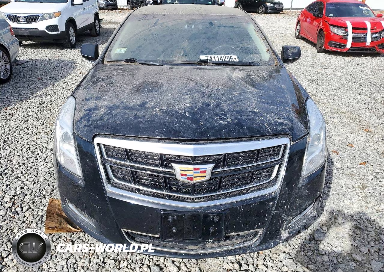 2016 Cadillac Xts VIN:2G61U5S31G9113889 - 5