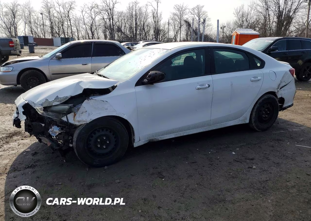 2019 Kia Forte Fe
