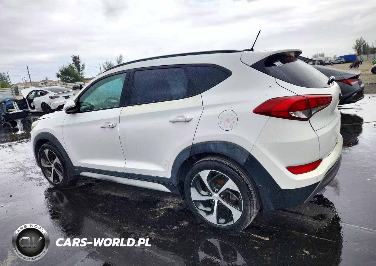 2017 Hyundai Tucson Value VIN:KM8J33A2XHU559651 - 2