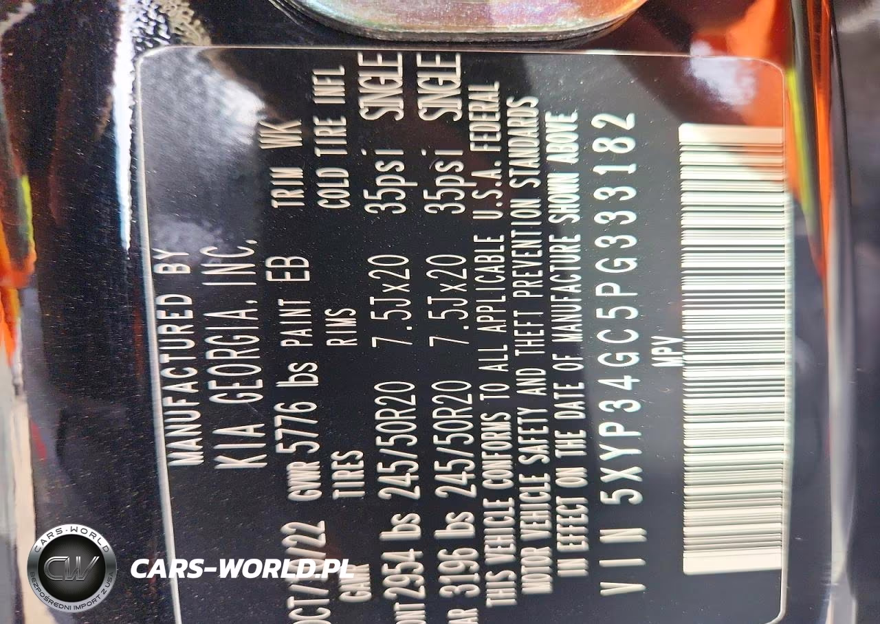 2023 Kia Telluride Ex VIN:5XYP34GC5PG333182 - 13