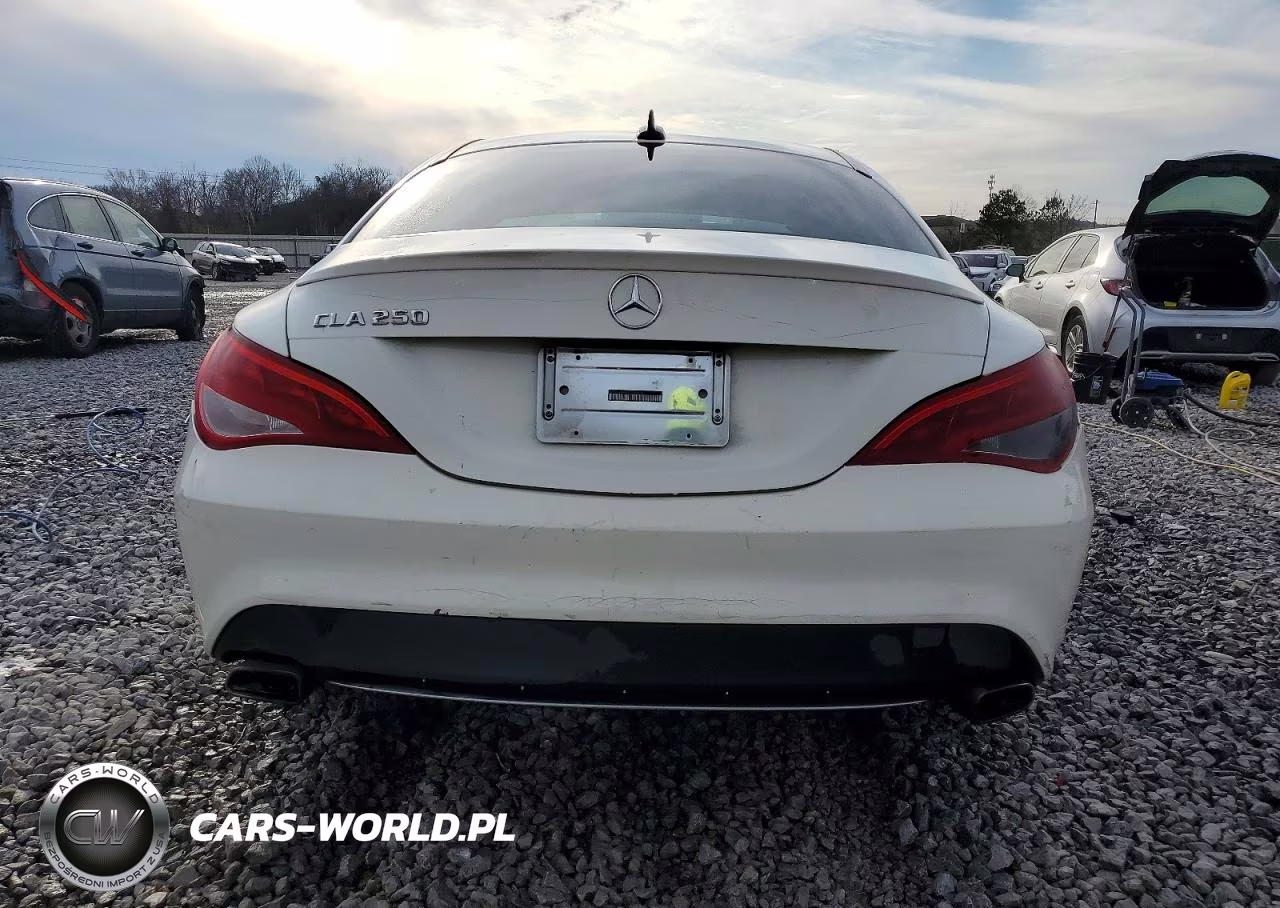 2015 Mercedes-Benz Cla 250 VIN:WDDSJ4EB9FN246408 - 6