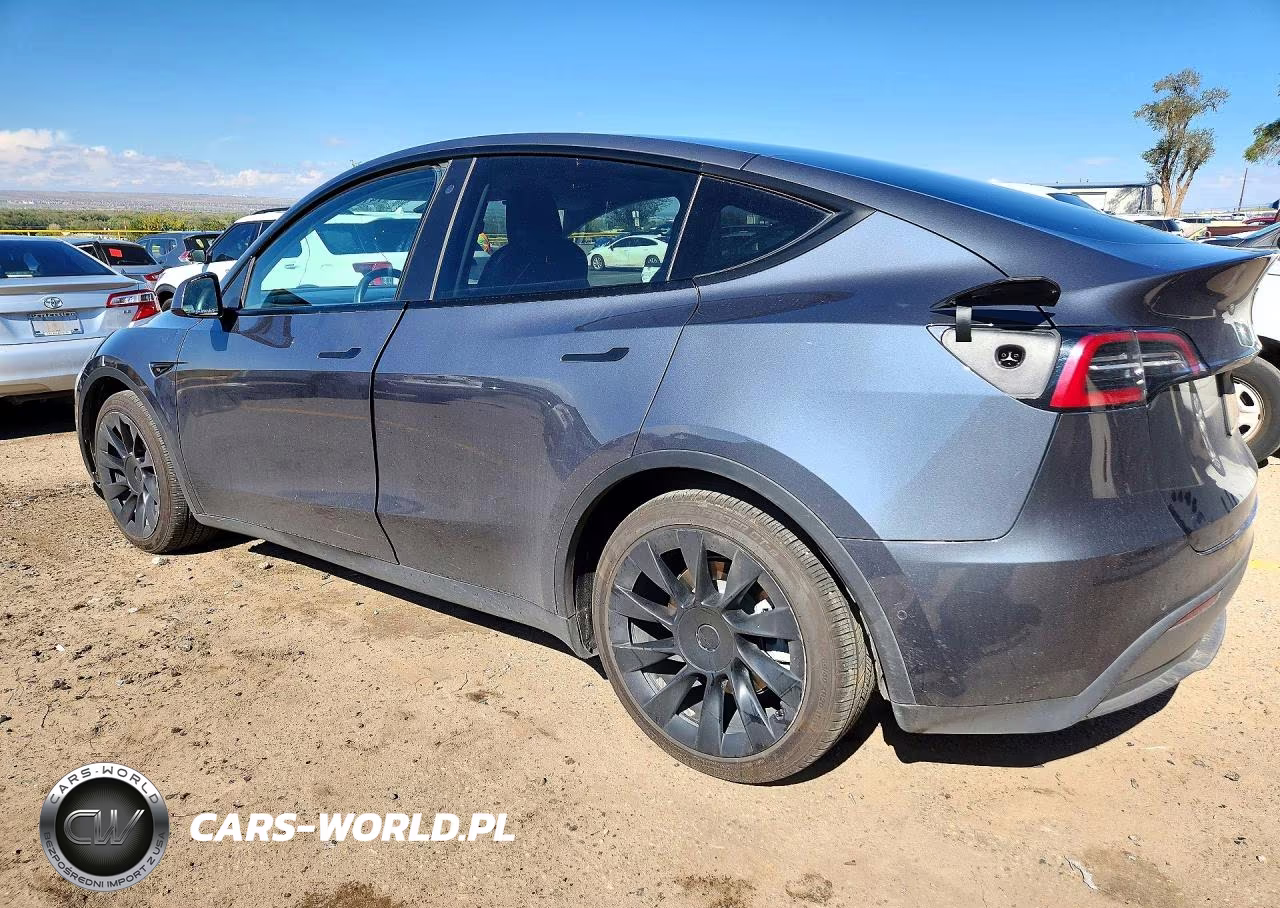 2020 Tesla Model Y VIN:5YJYGDEF6LF004790 - 2