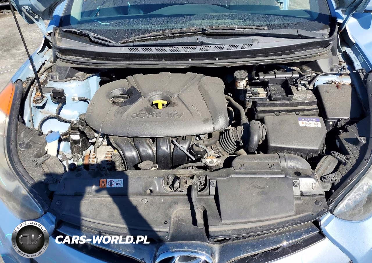 2013 Hyundai Elantra Coupe Gs VIN:KMHDH6AE9DU004405 - 11