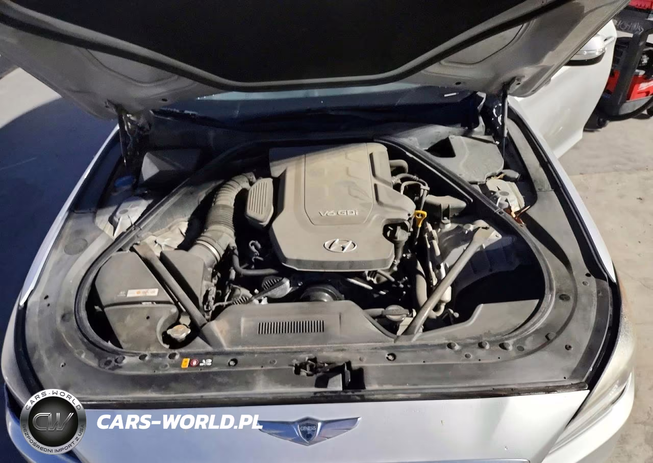 2016 Hyundai Genesis 3.8L VIN:KMHGN4JE6GU113189 - 11