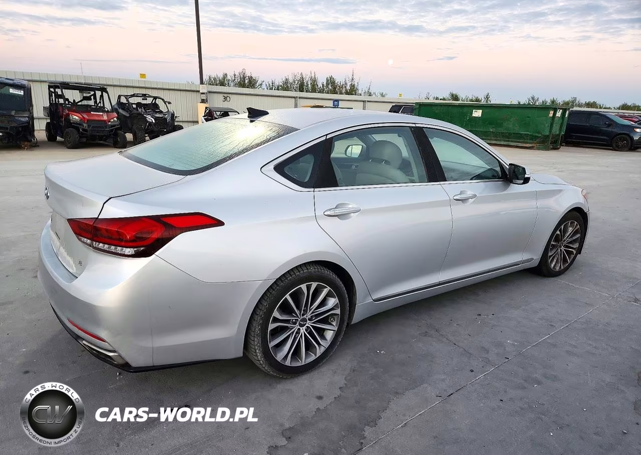 2016 Hyundai Genesis 3.8L VIN:KMHGN4JE6GU113189 - 3