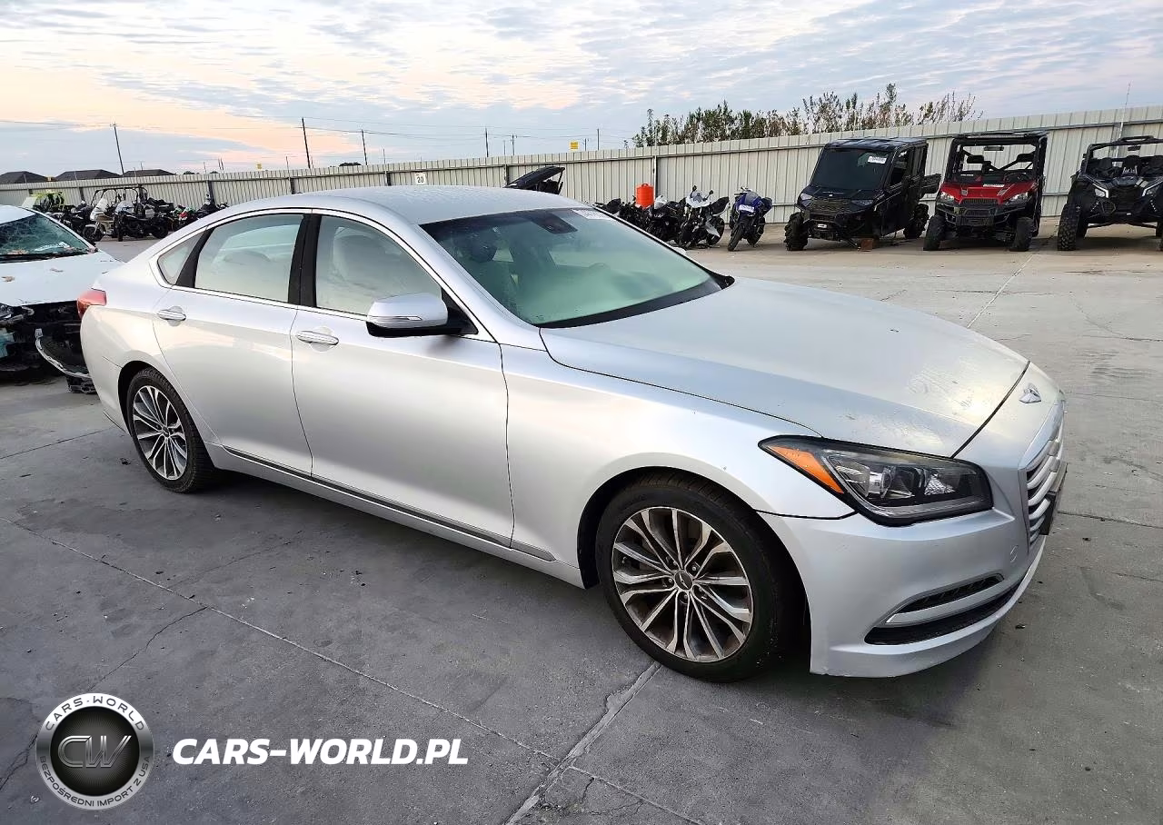 2016 Hyundai Genesis 3.8L VIN:KMHGN4JE6GU113189 - 4