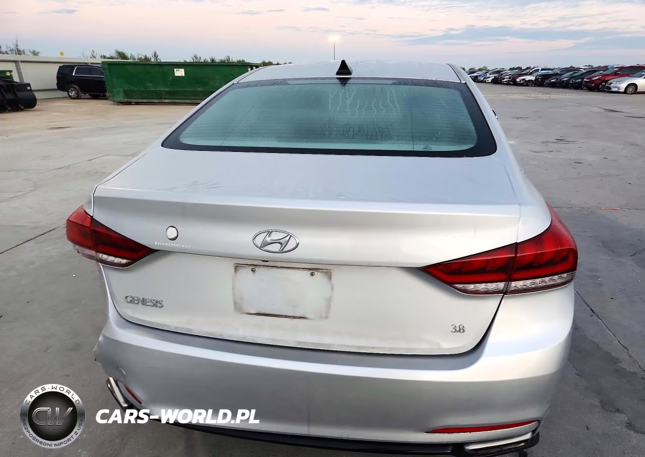 2016 Hyundai Genesis 3.8L VIN:KMHGN4JE6GU113189 - 6