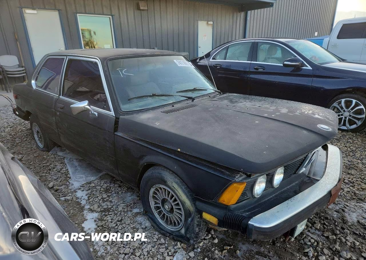 1981 BMW 3 Series VIN:WBA31730005486956 - 4