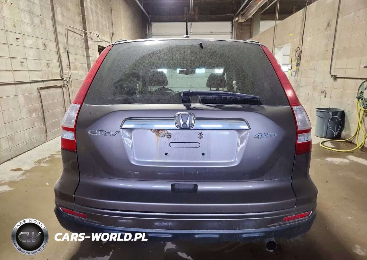 2010 Honda Cr-V Exl VIN:5J6RE4H72AL018074 - 6
