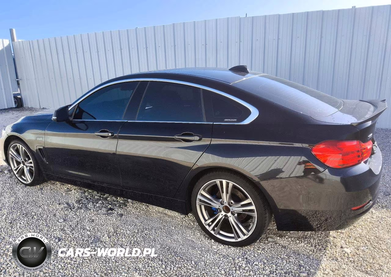2017 BMW 430Xi Gran Coupe VIN:WBA4F9C51HG440546 - 2
