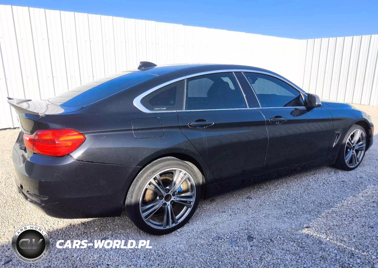2017 BMW 430Xi Gran Coupe VIN:WBA4F9C51HG440546 - 3