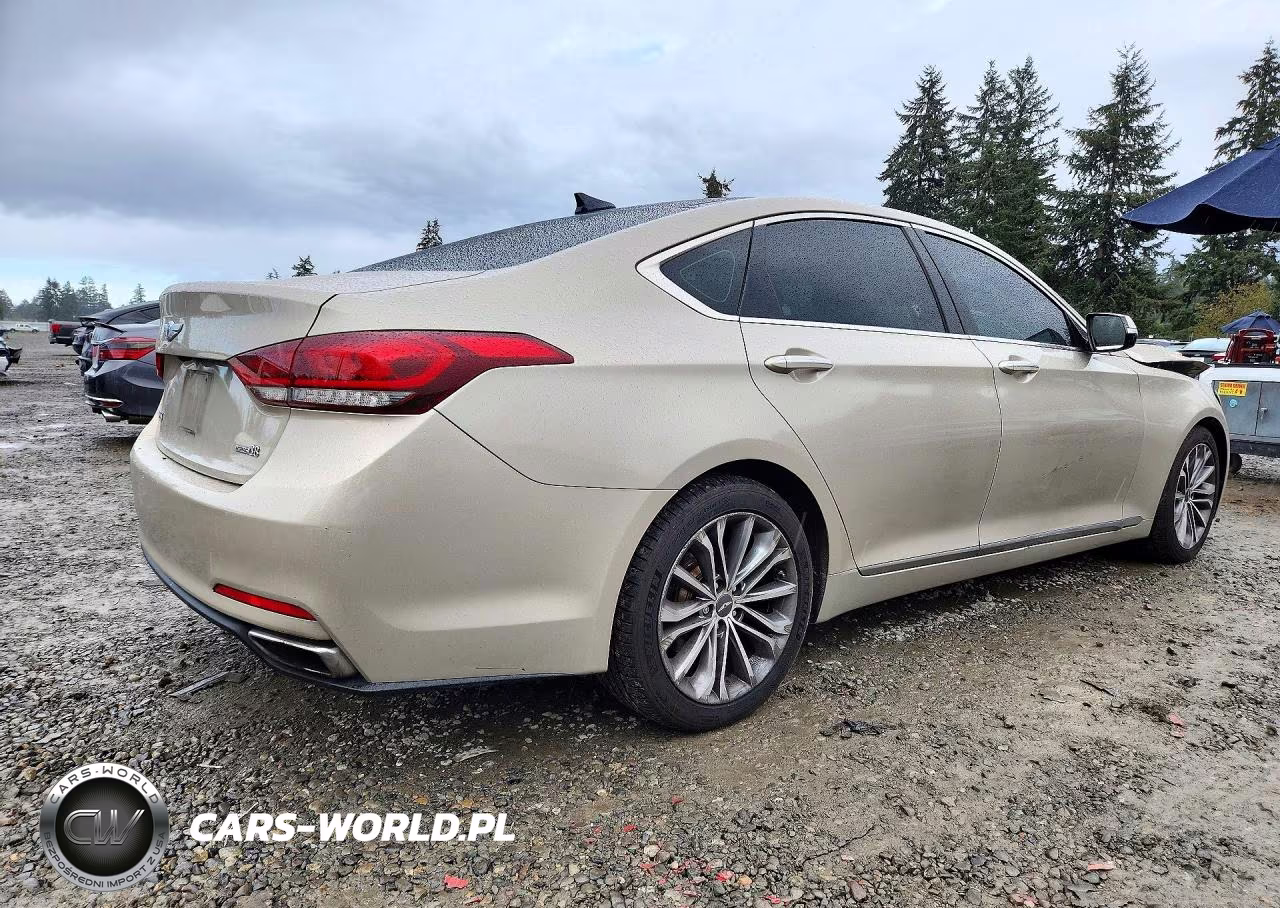 2015 Hyundai Genesis 3.8L VIN:KMHGN4JE0FU067499 - 3
