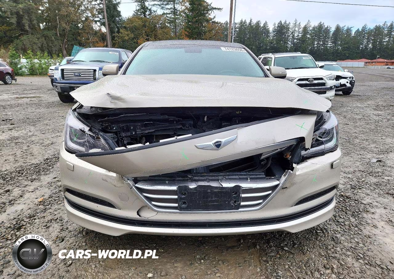2015 Hyundai Genesis 3.8L VIN:KMHGN4JE0FU067499 - 5
