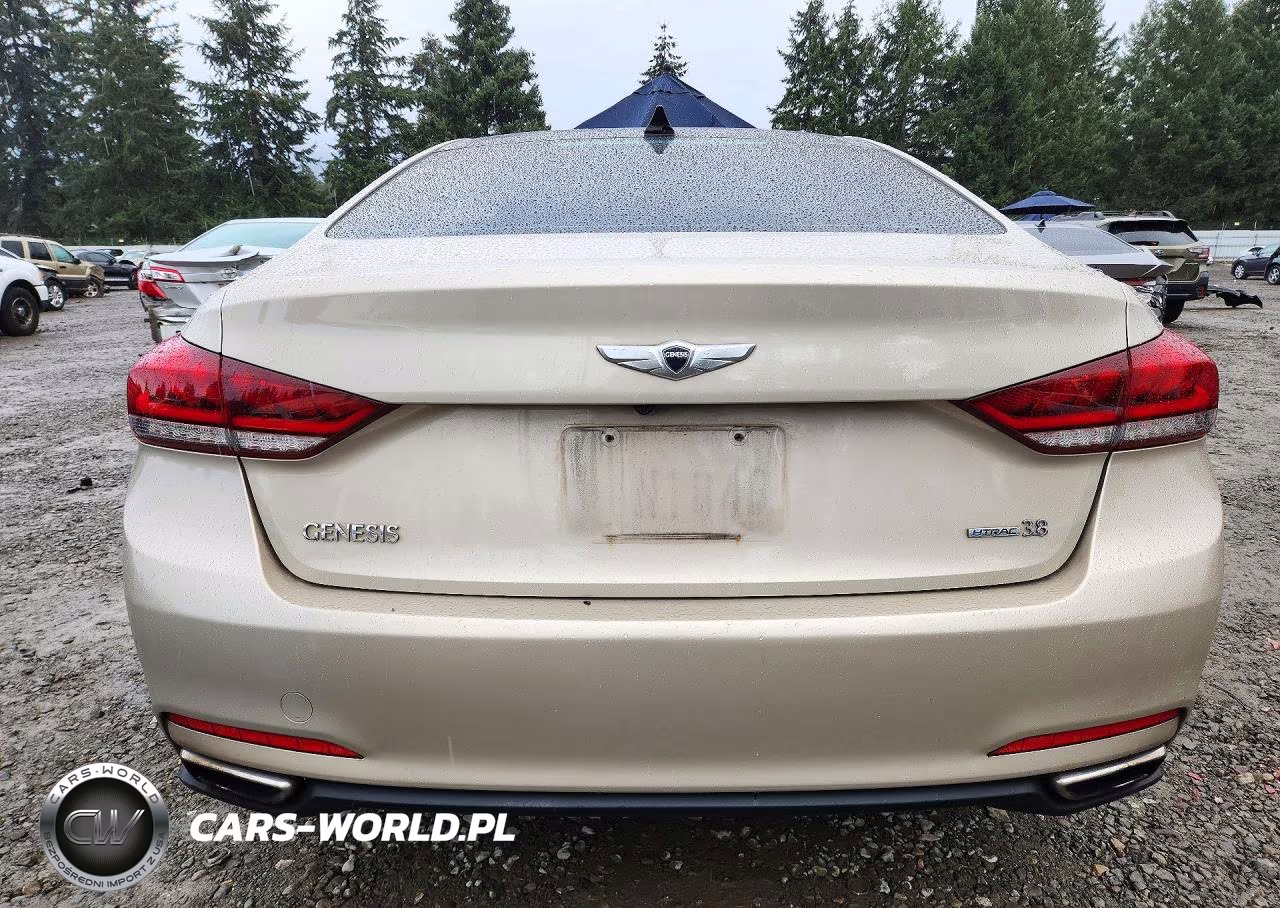 2015 Hyundai Genesis 3.8L VIN:KMHGN4JE0FU067499 - 6