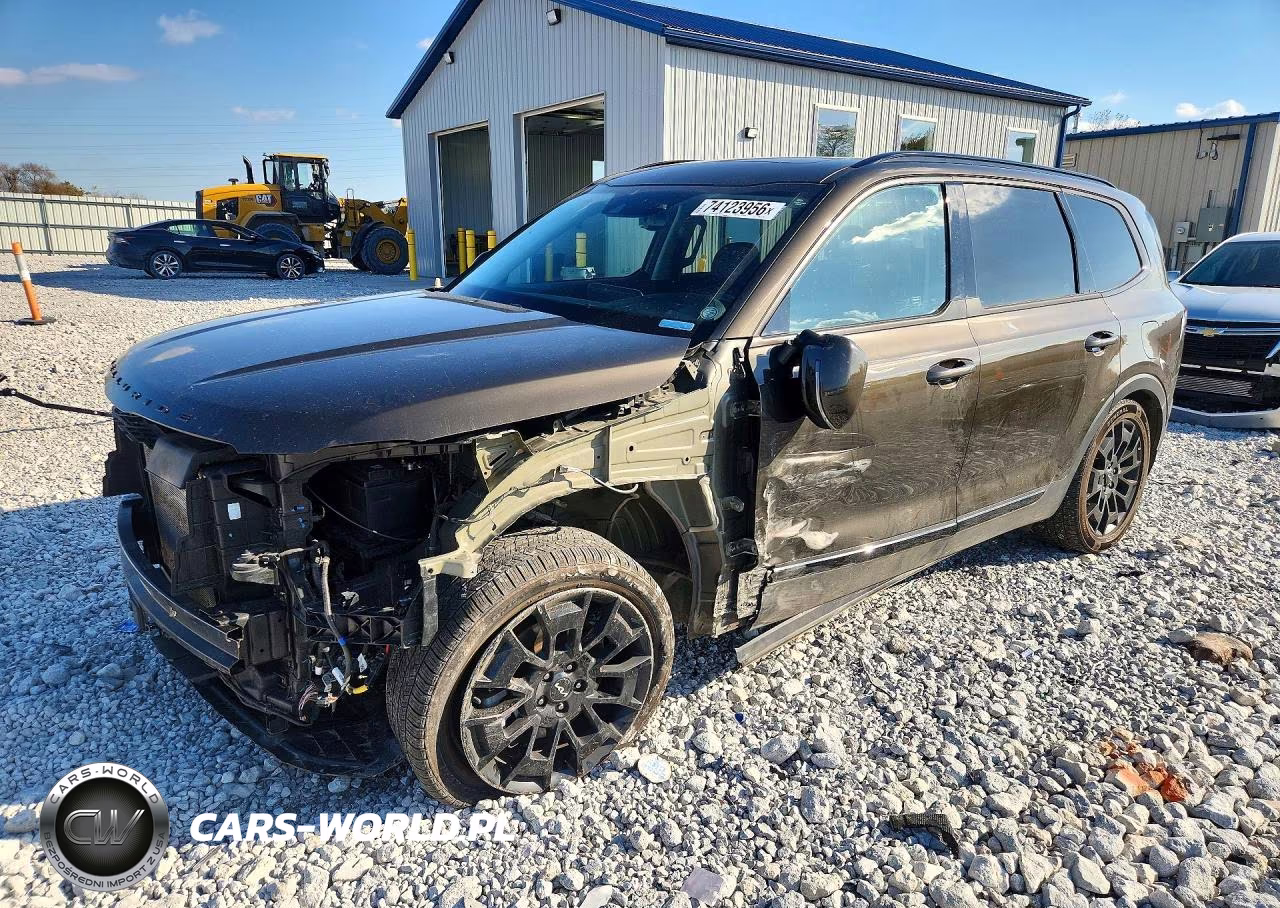 2022 Kia Telluride Ex VIN:5XYP3DHCXNG271564 - 1