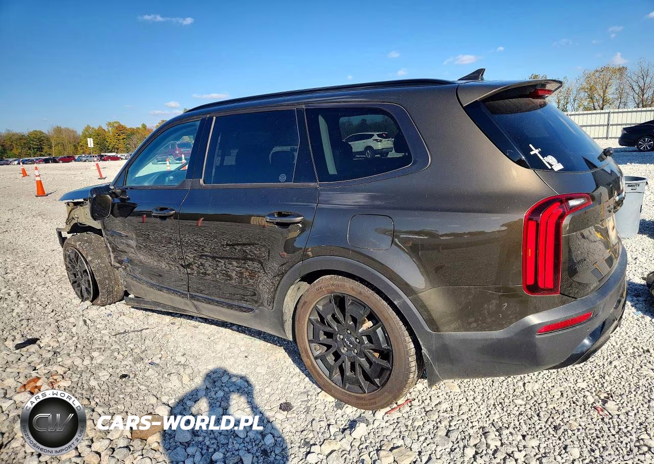 2022 Kia Telluride Ex VIN:5XYP3DHCXNG271564 - 2