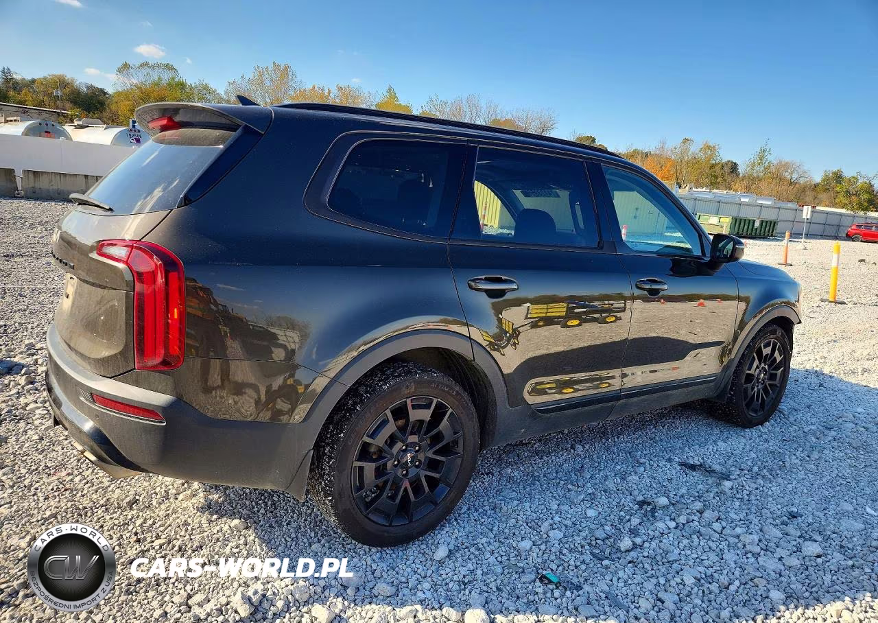 2022 Kia Telluride Ex VIN:5XYP3DHCXNG271564 - 3