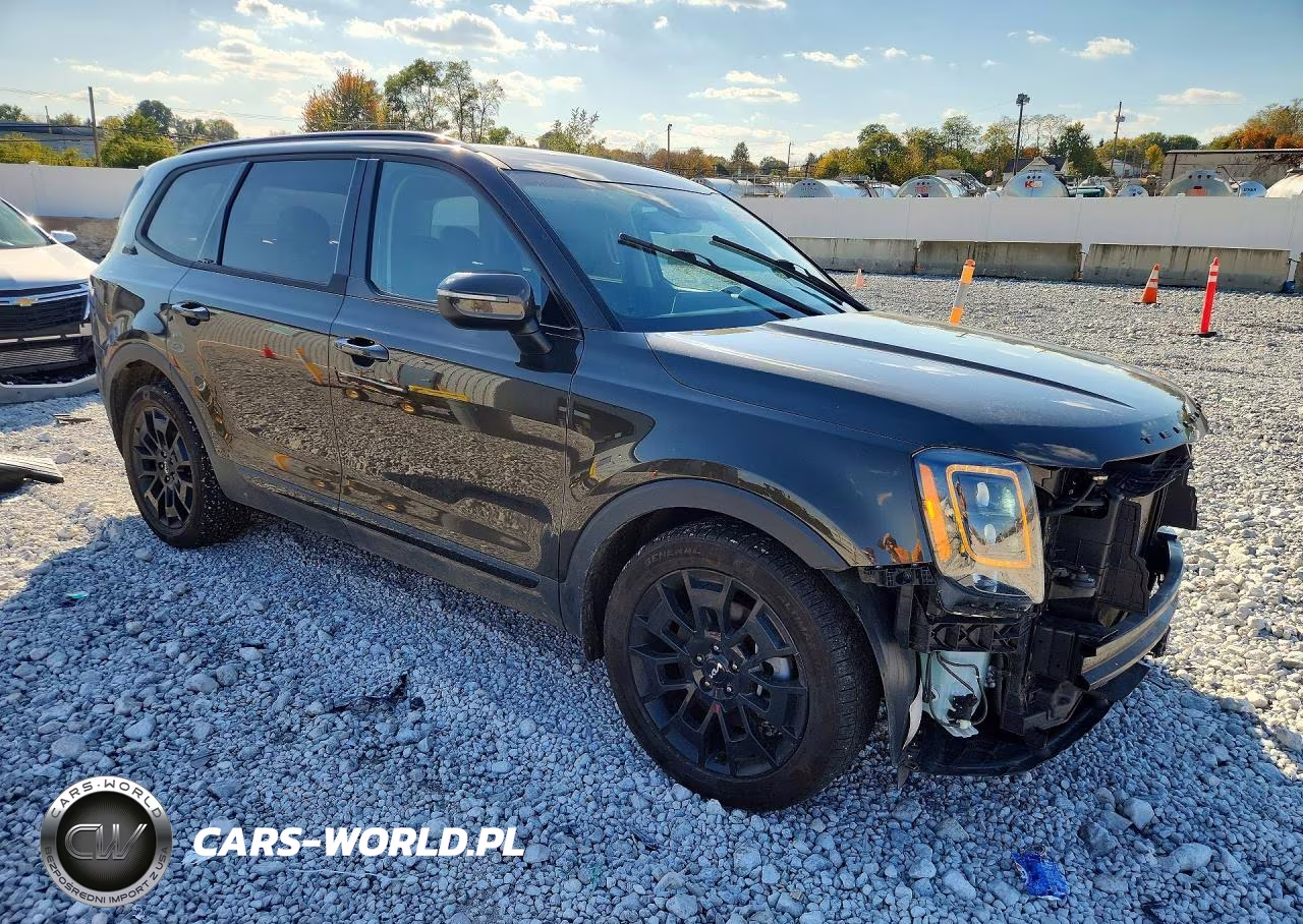 2022 Kia Telluride Ex VIN:5XYP3DHCXNG271564 - 4