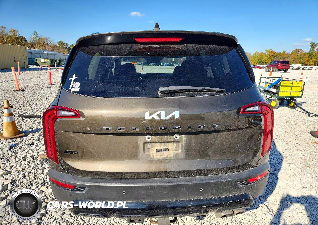 2022 Kia Telluride Ex VIN:5XYP3DHCXNG271564 - 6