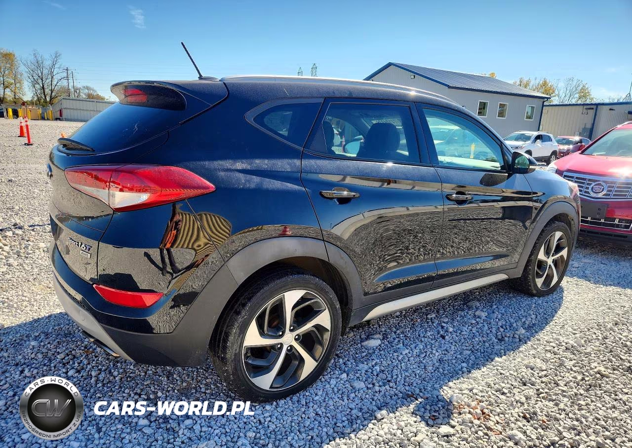 2017 Hyundai Tucson Sport VIN:KM8J3CA2XHU276134 - 3