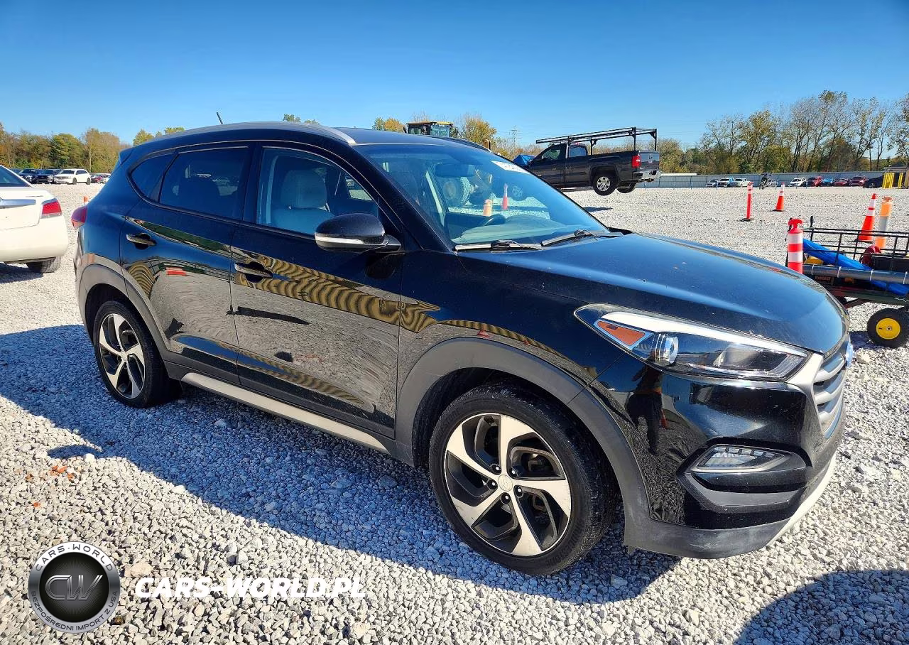 2017 Hyundai Tucson Sport VIN:KM8J3CA2XHU276134 - 4