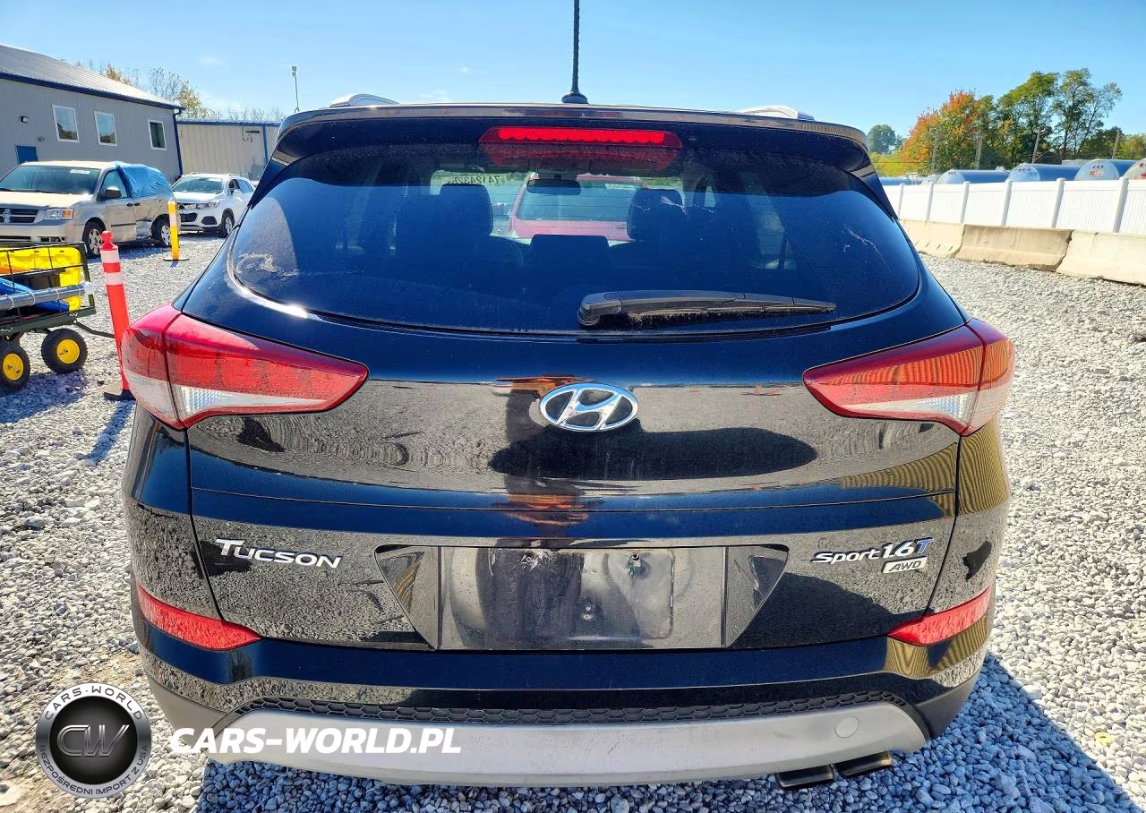 2017 Hyundai Tucson Sport VIN:KM8J3CA2XHU276134 - 6