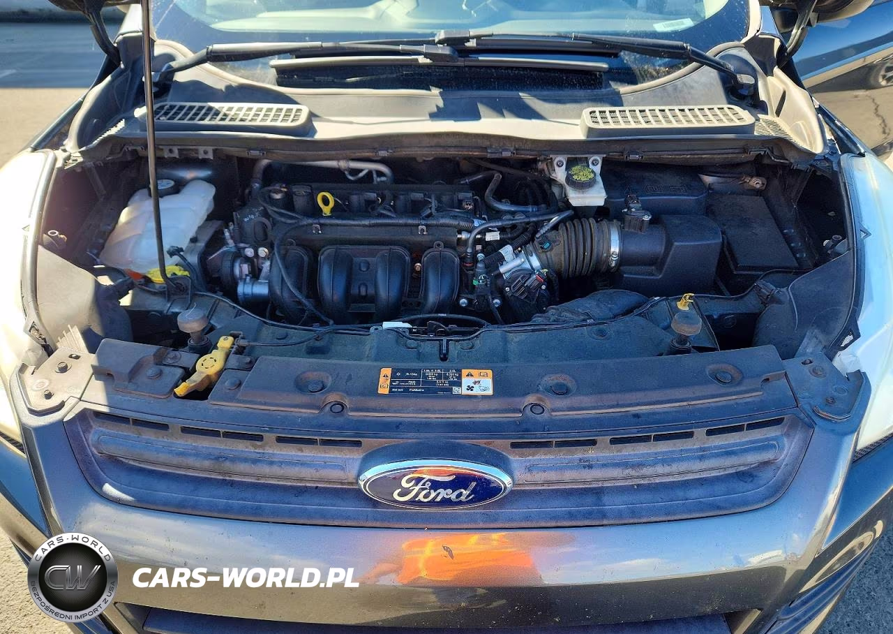 2016 Ford Escape S VIN:1FMCU0F7XGUC00081 - 12