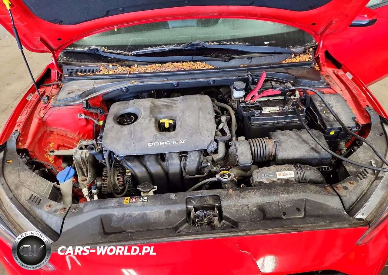 2019 Hyundai Veloster 2.0L Premium VIN:KMHTG6AF7KU014094 - 11