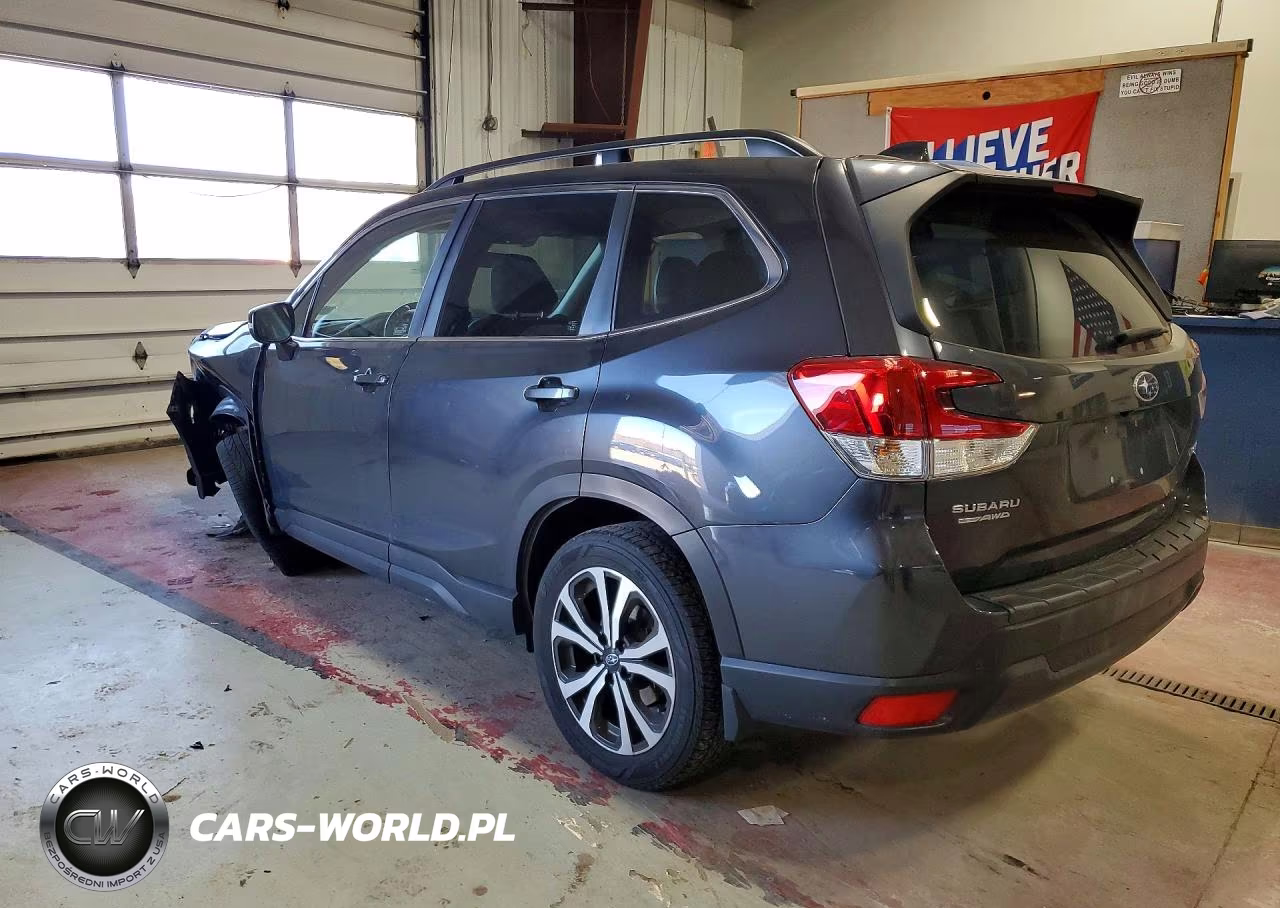 2019 Subaru Forester Limited VIN:JF2SKAUC9KH459580 - 2