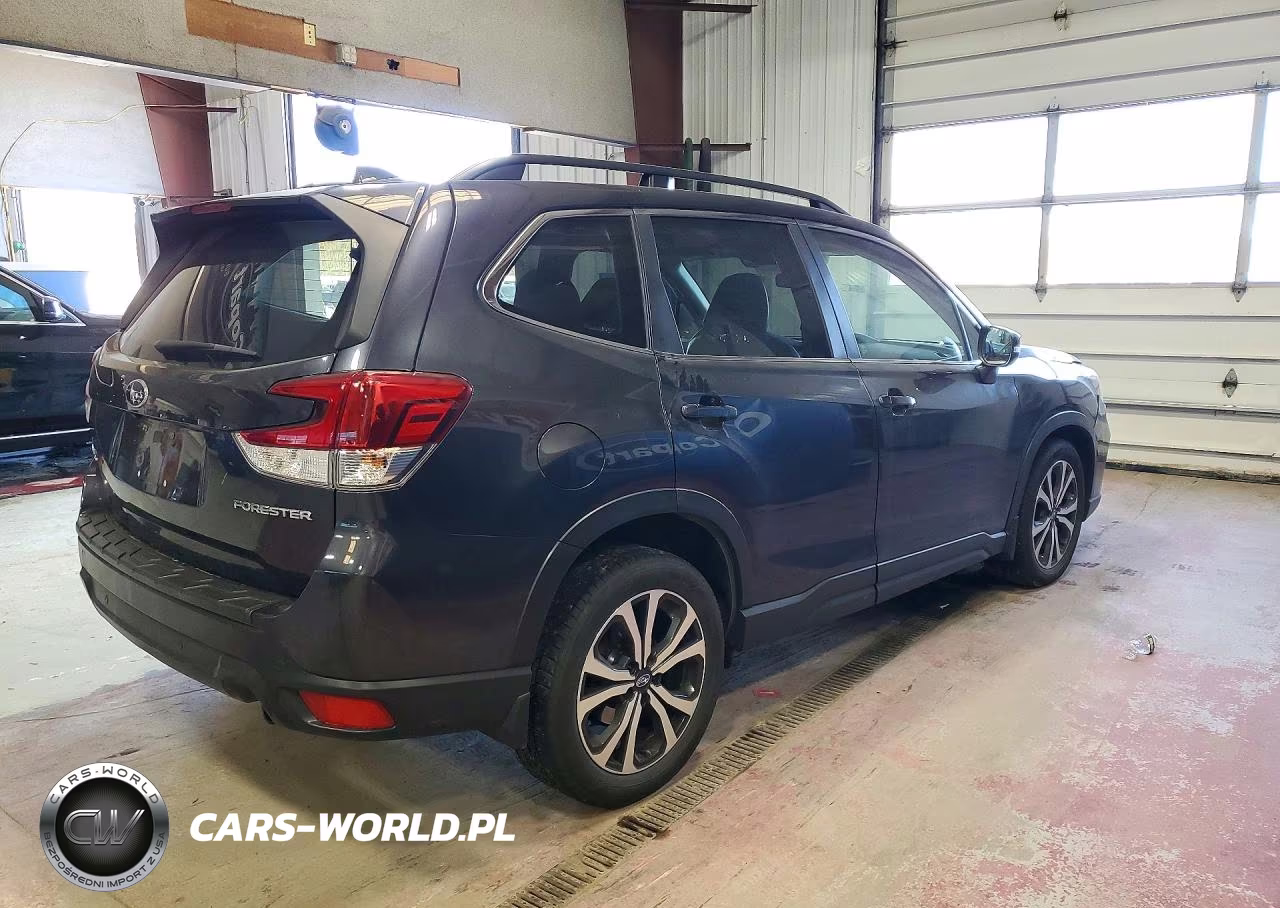 2019 Subaru Forester Limited VIN:JF2SKAUC9KH459580 - 3