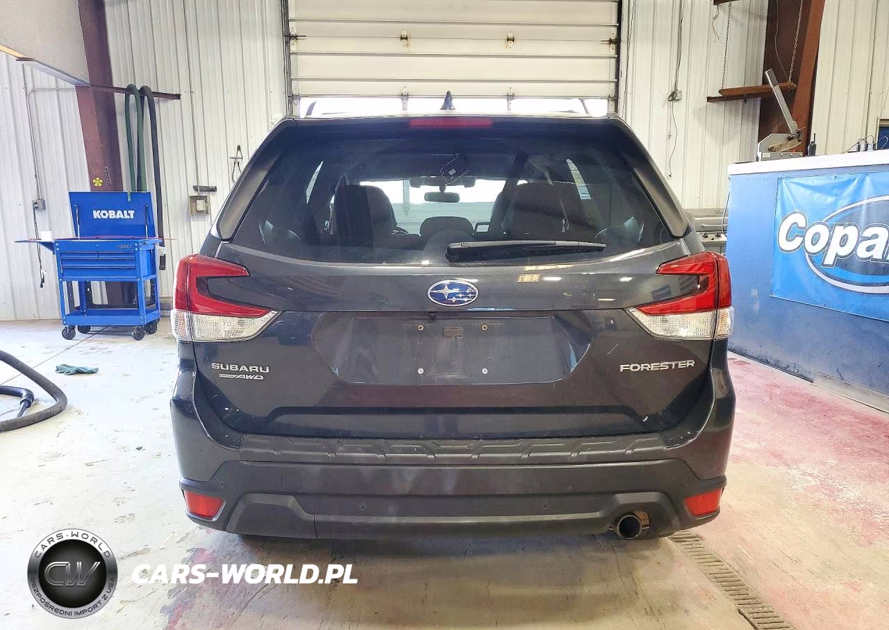 2019 Subaru Forester Limited VIN:JF2SKAUC9KH459580 - 6