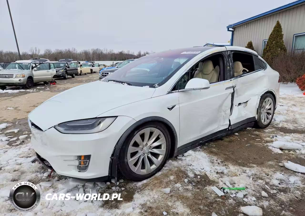 2019 Tesla Model X