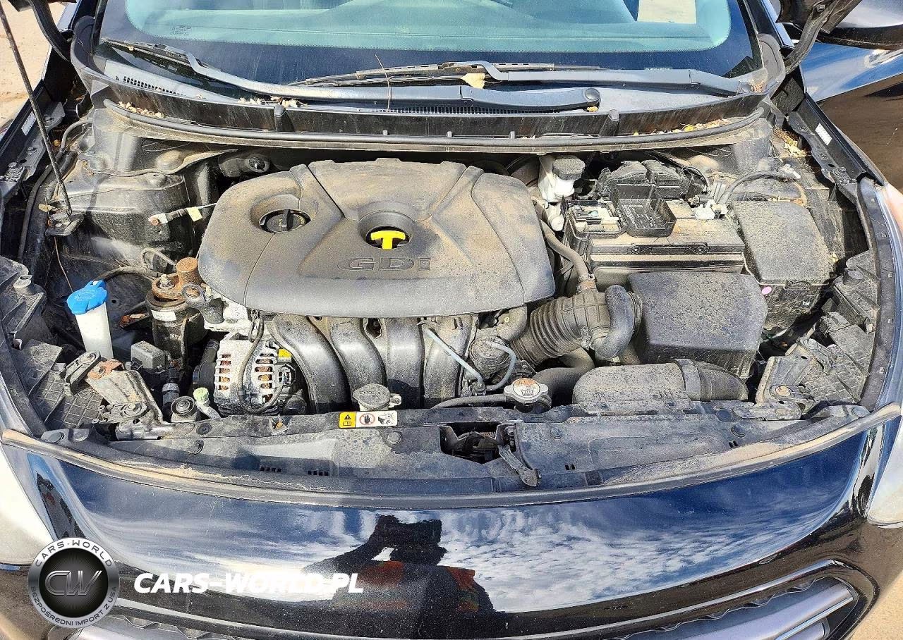 2017 Hyundai Elantra Gt Base VIN:KMHD35LH1HU377007 - 11