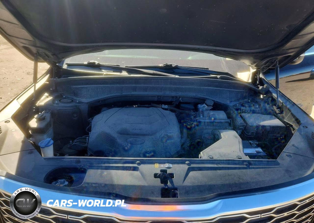 2020 Kia Telluride S VIN:5XYP6DHC3LG015769 - 12