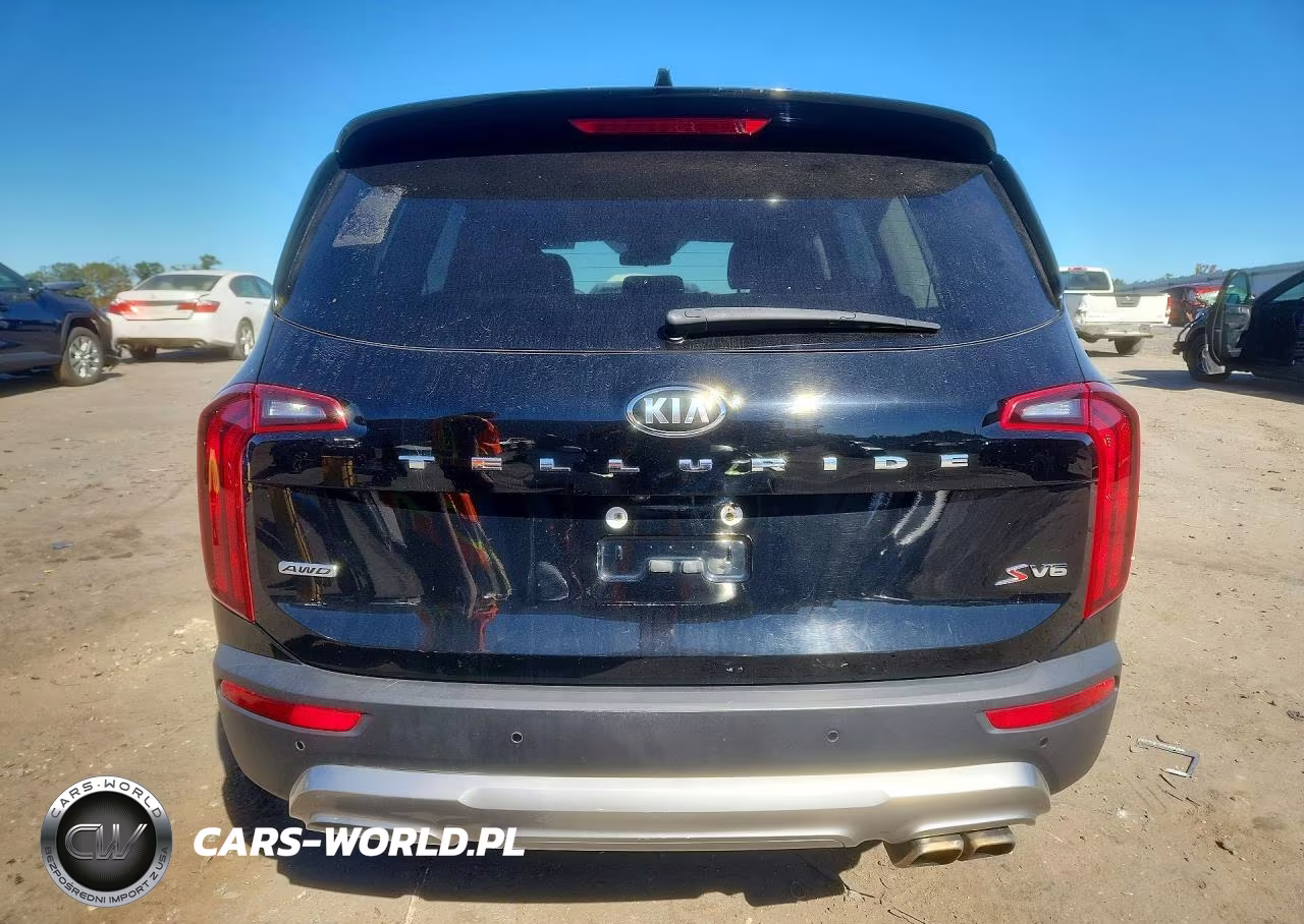 2020 Kia Telluride S VIN:5XYP6DHC3LG015769 - 6
