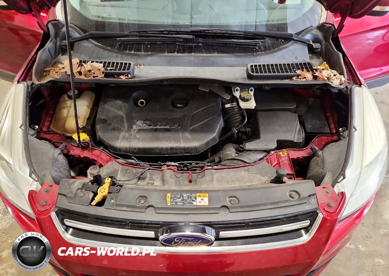 2013 Ford Escape Sel VIN:1FMCU9H94DUA30962 - 12
