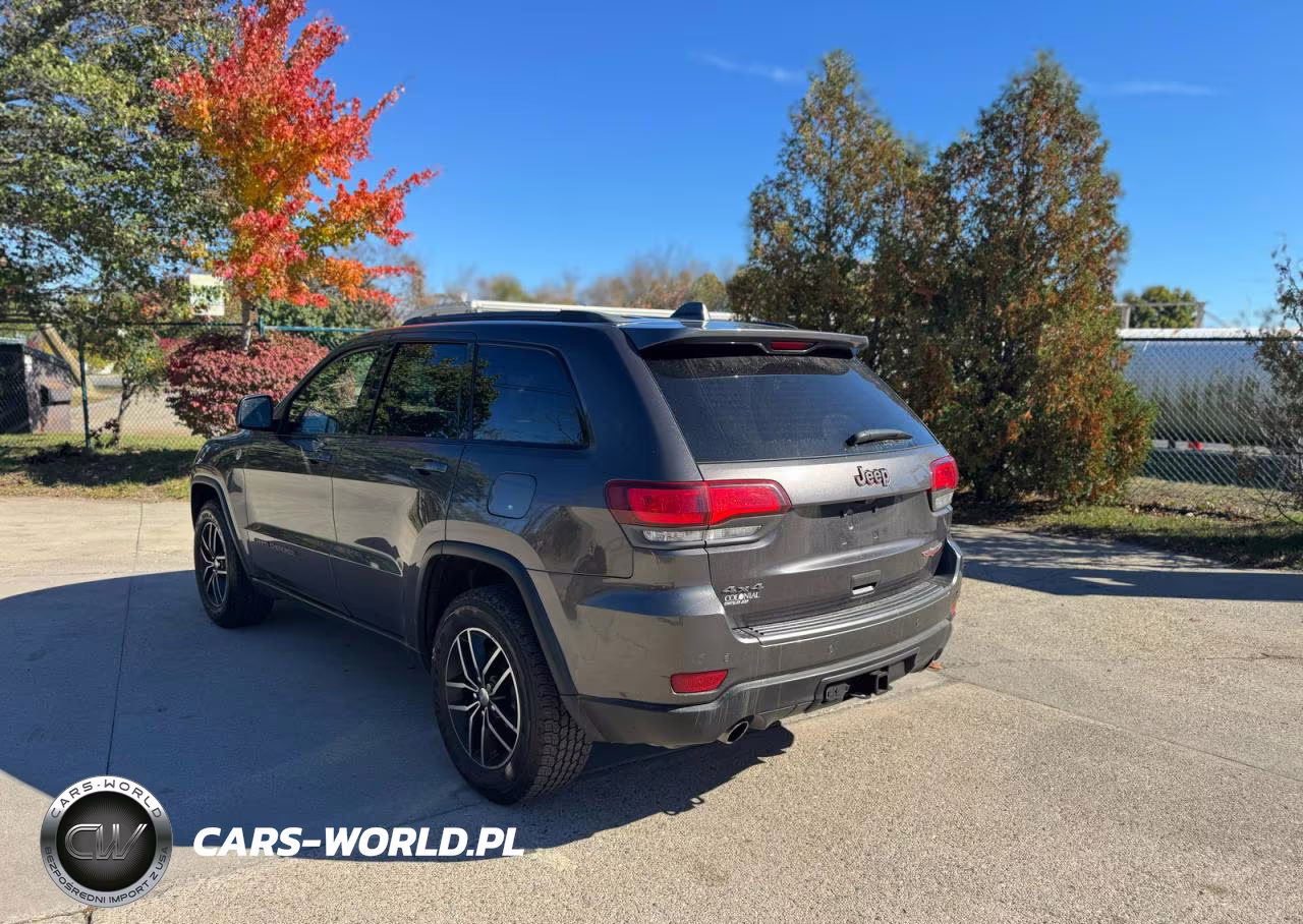 2018 Jeep Grand Cherokee Trailhawk VIN:1C4RJFLGXJC300287 - 3