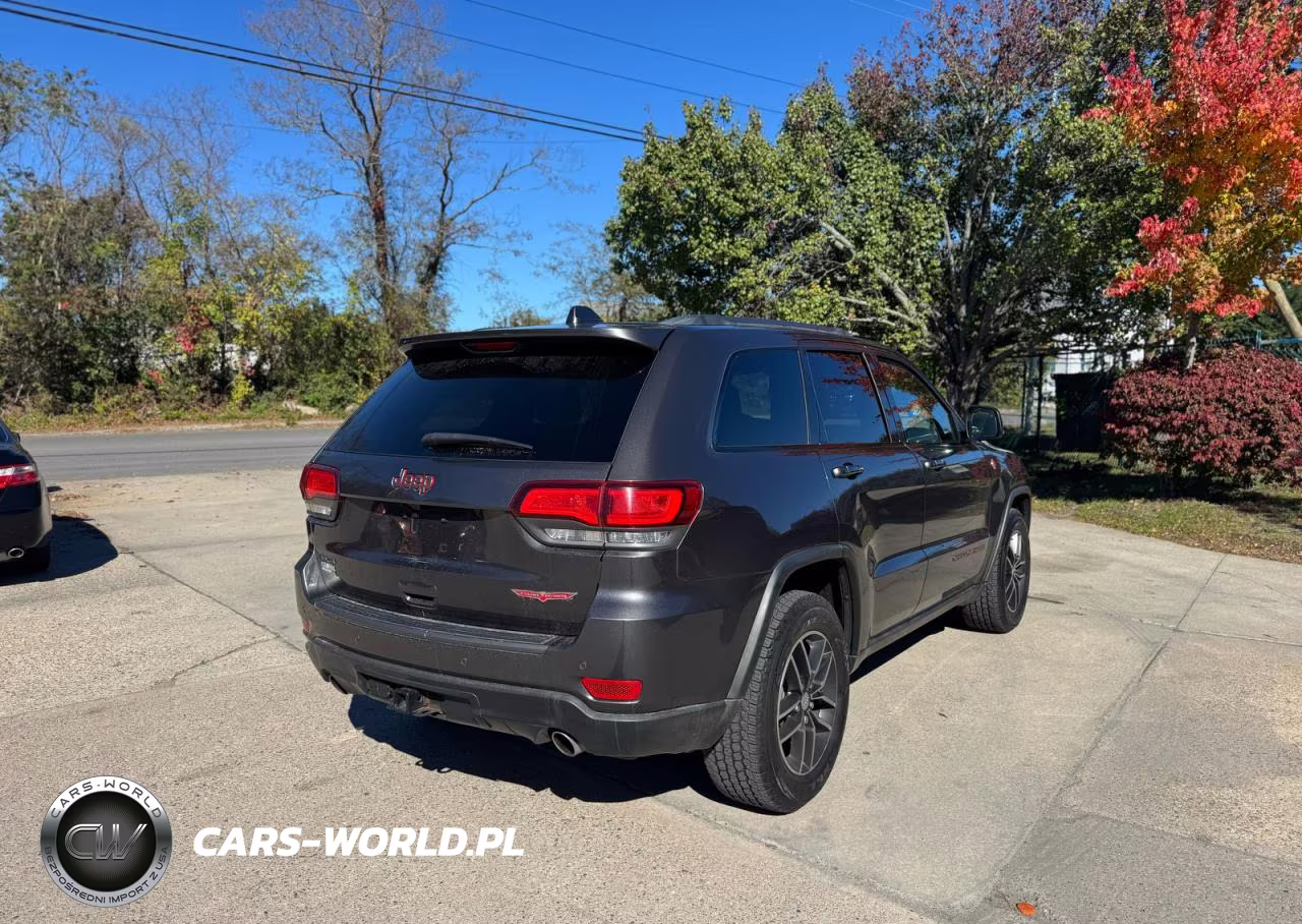 2018 Jeep Grand Cherokee Trailhawk VIN:1C4RJFLGXJC300287 - 4