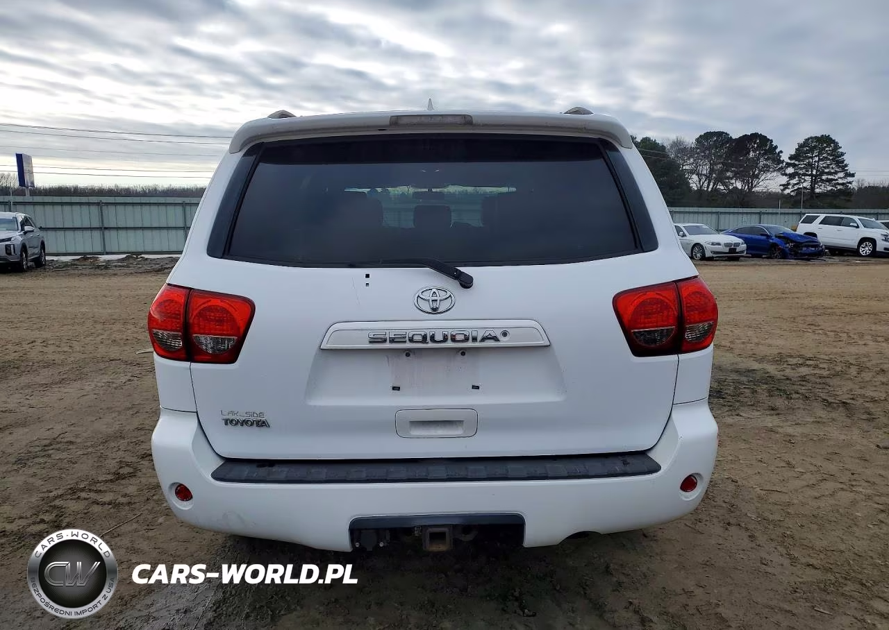 2010 Toyota Sequoia Sr5 VIN:5TDZM5G13AS001651 - 6