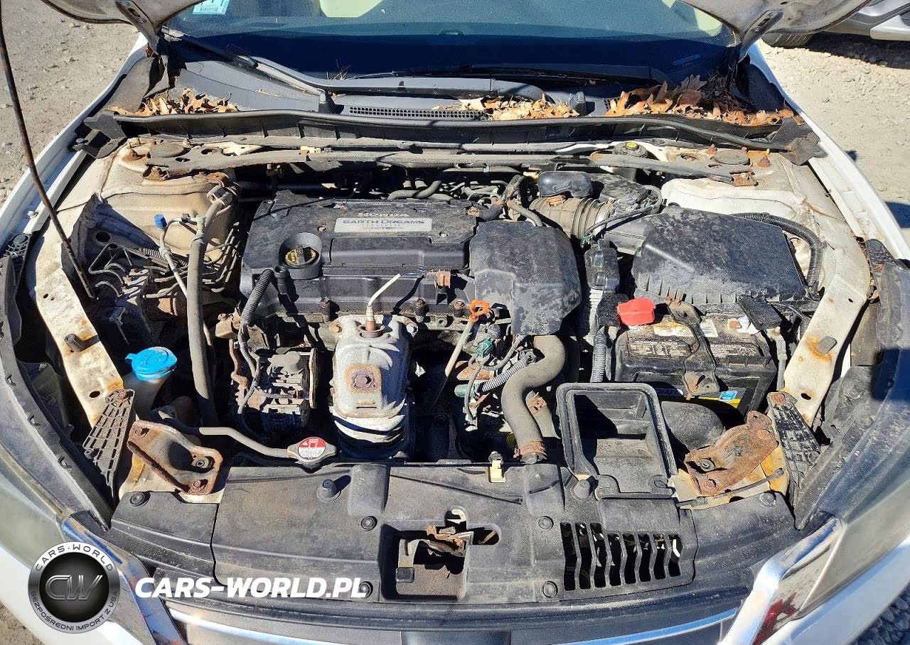 2013 Honda Accord Exl VIN:1HGCR2F85DA012089 - 11