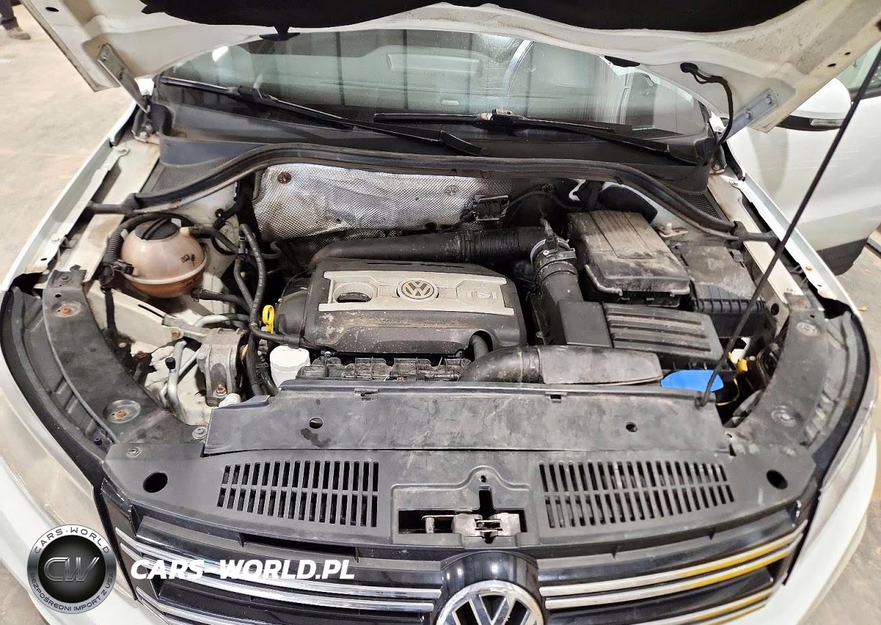 2016 Volkswagen Tiguan S VIN:WVGAV7AX1GW512993 - 12
