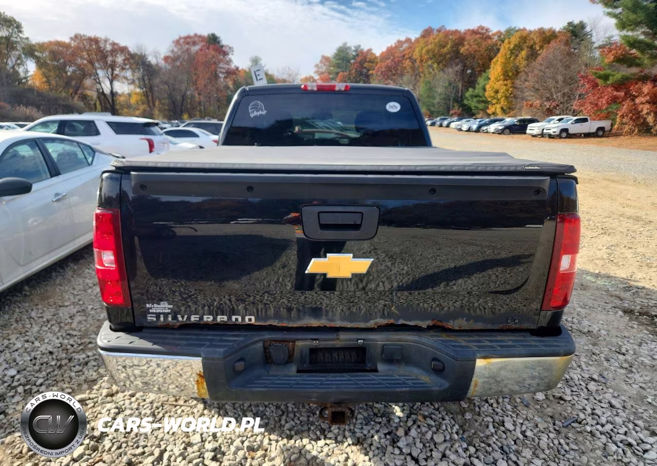 2013 Chevrolet Silverado K1500 Lt VIN:1GCRKSEA4DZ240166 - 6