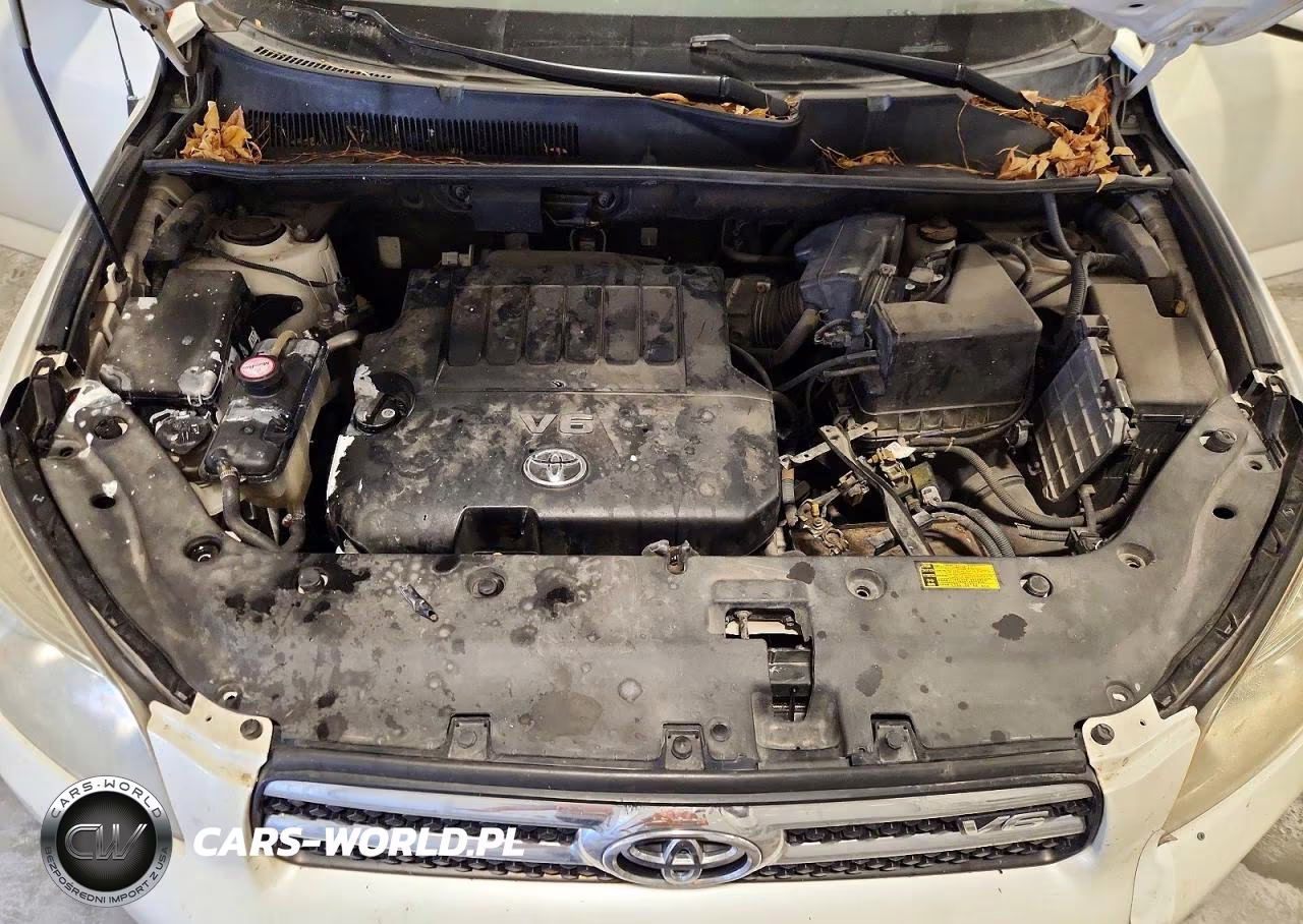 2006 Toyota Rav4 Limited VIN:JTMBK31V865011760 - 12