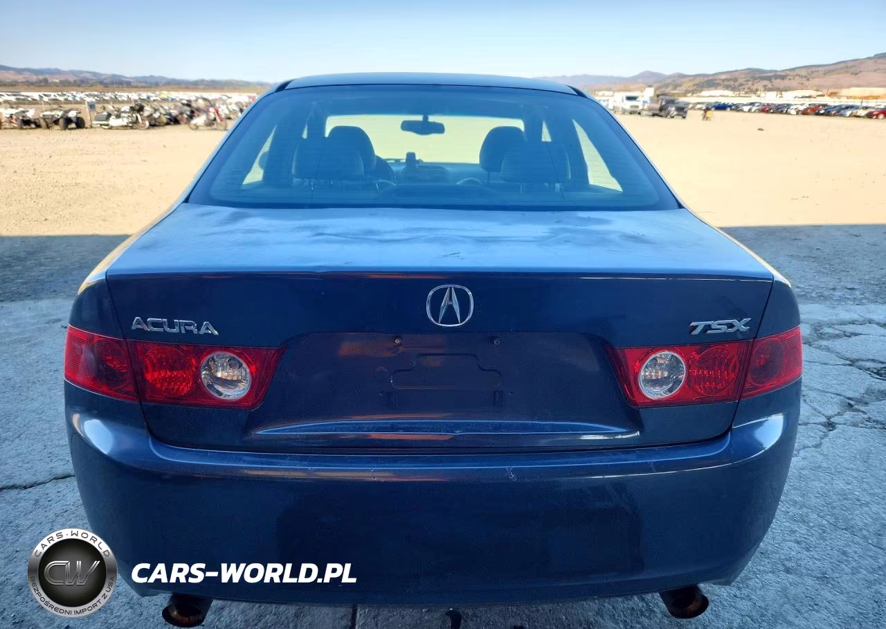 2004 Acura Tsx VIN:JH4CL96964C043369 - 6