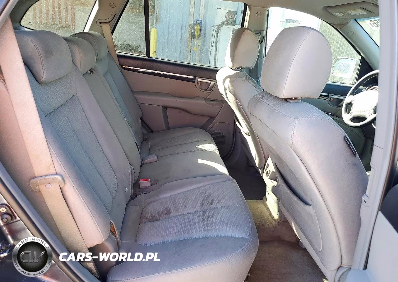 2007 Hyundai Santa Fe Se VIN:5NMSH13E77H119947 - 11