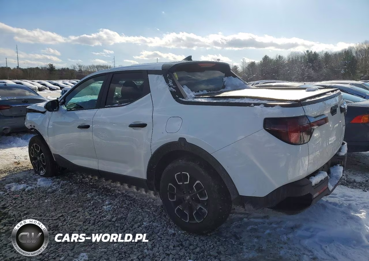 2024 Hyundai Santa Cruz Sel VIN:5NTJBDAE9RH090198 - 2
