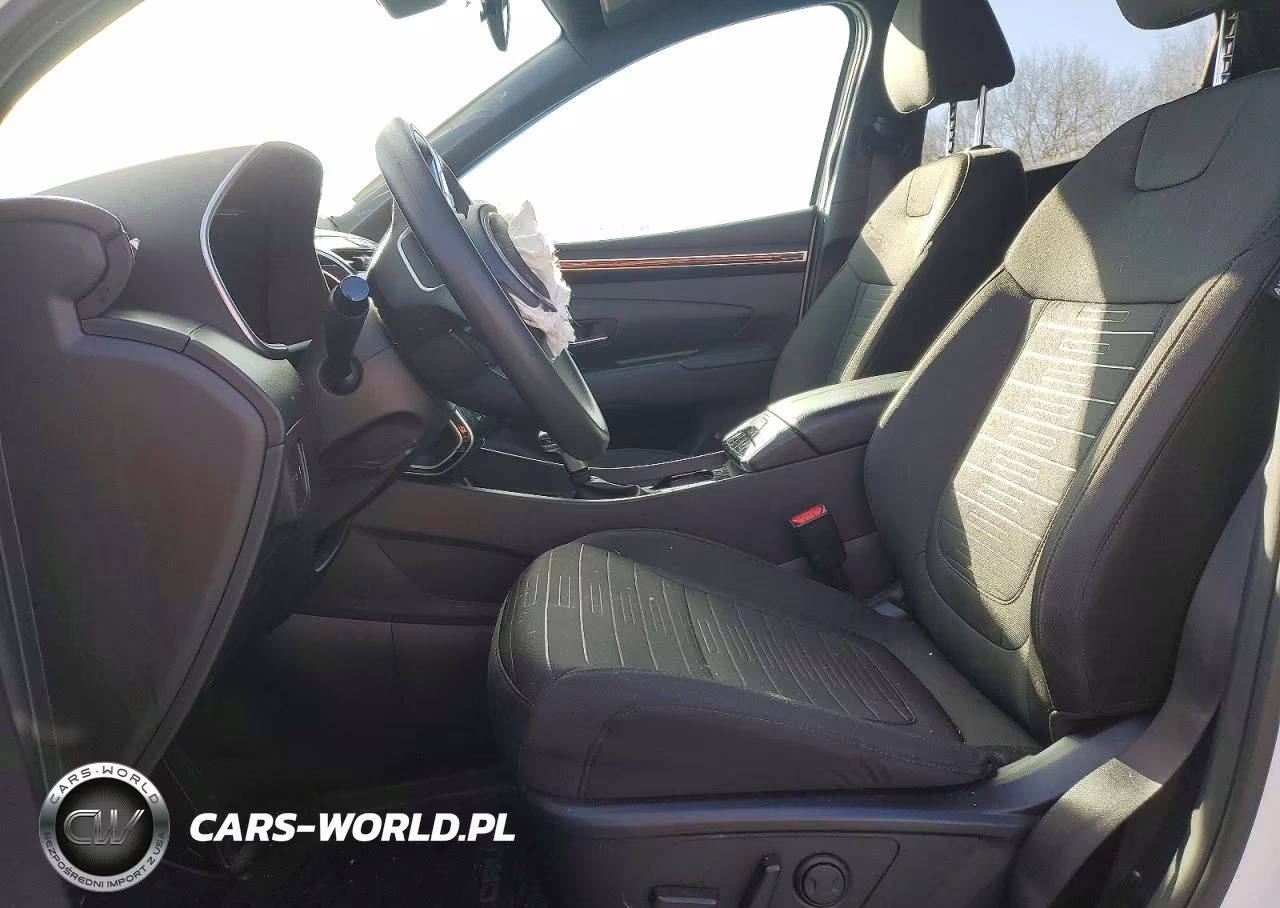 2024 Hyundai Santa Cruz Sel VIN:5NTJBDAE9RH090198 - 7