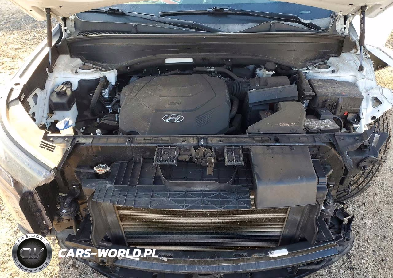 2020 Hyundai Palisade Limited VIN:KM8R5DHE5LU050840 - 12