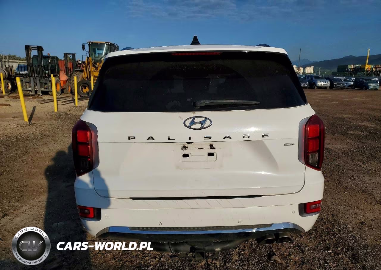 2020 Hyundai Palisade Limited VIN:KM8R5DHE5LU050840 - 6
